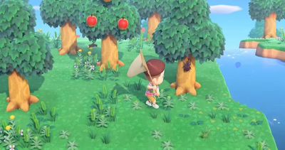 Animal Crossing Bug Catch